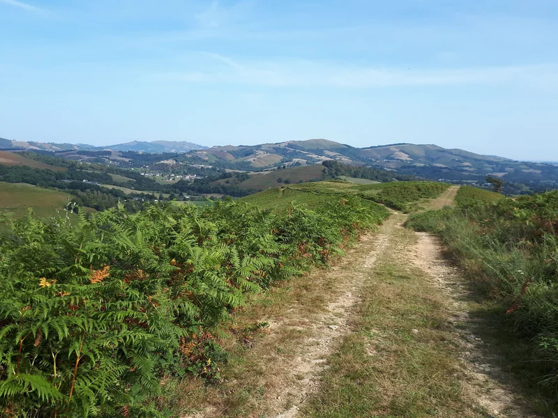 VTT VTT N°16 - Le Tremey · Arette