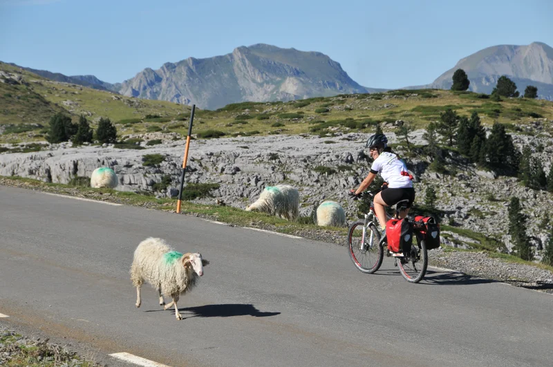 Vélo de route Le col de la Pierre-Saint-Martin depuis Licq-Athérey · Menditte