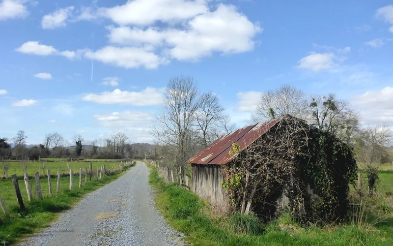 Vélo de route VTC 1 Entre plaine et gave · Arros-de-Nay