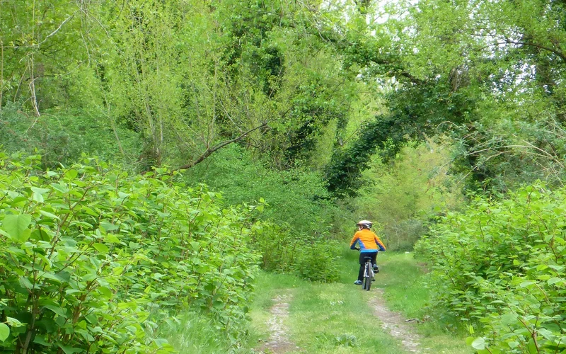 Vélo de route Circuit vélo 1 : boucle du Gave et de la saligue · Nay