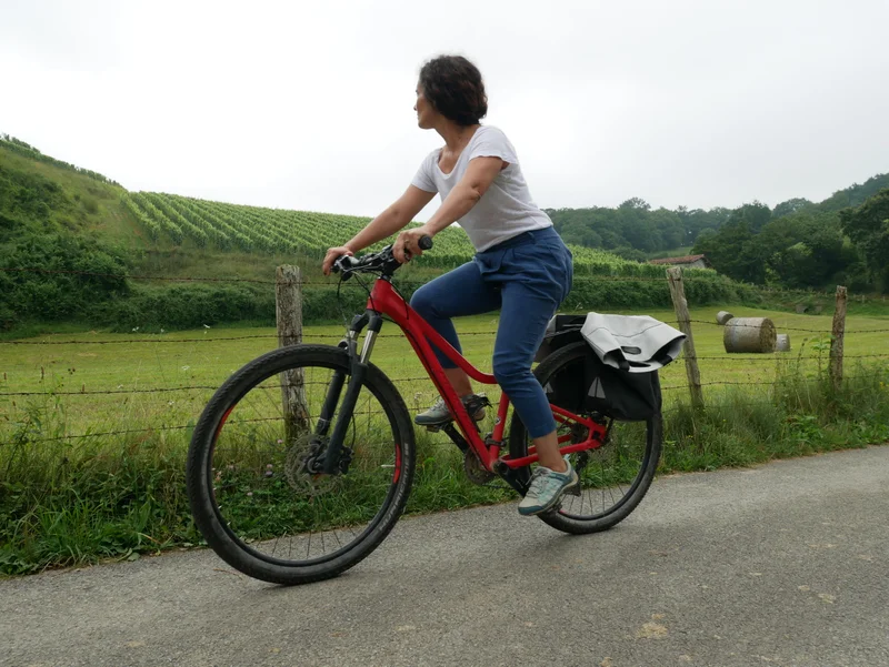 Vélo de route Baigorry et vignoble d'Irouléguy · Iholdy