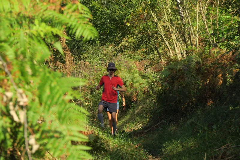 Trail N°24 Trail de Bergout · Jouers