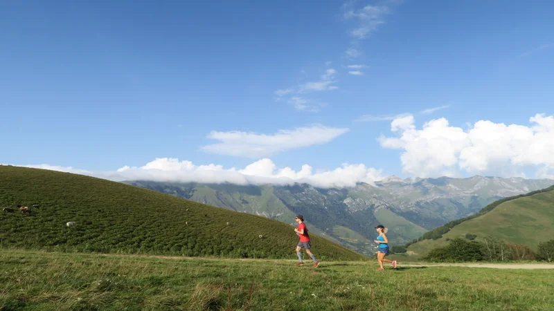Trail N°25 Kilomètre vertical du Bergout · Jouers