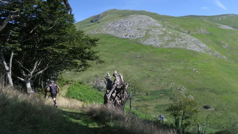 Trail N°36 Trail du Layens par Pirait · Osse-en-Aspe