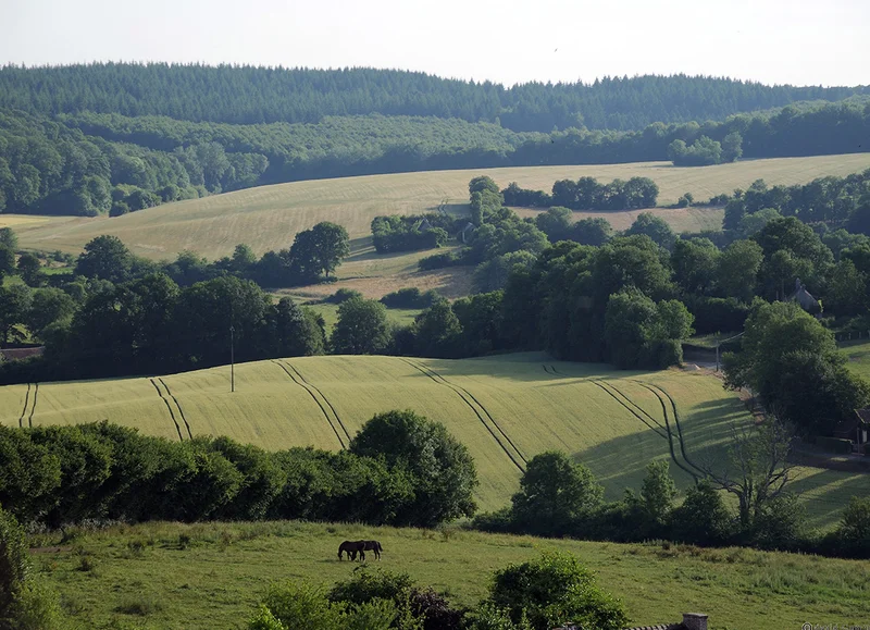 Randonnée Le Tour des Collines du Perche à pied · Nogent-le-Rotrou