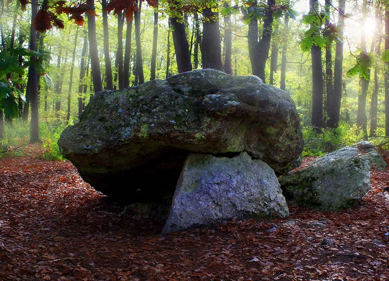 Randonnée La Pierre Procureuse, Le Perche - Randonnée à pied · Saint-Cyr-la-Rosière