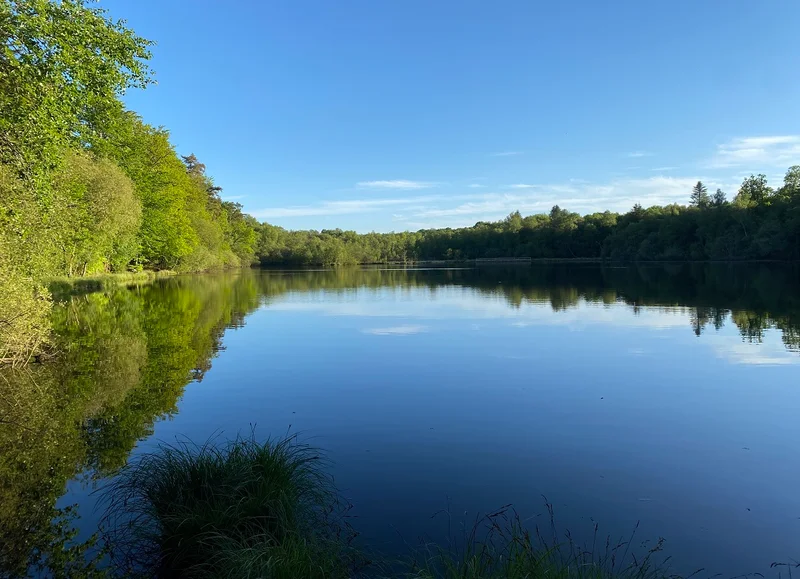 Randonnée Sentier de l'étang de la Lande Forêt · Le Grais