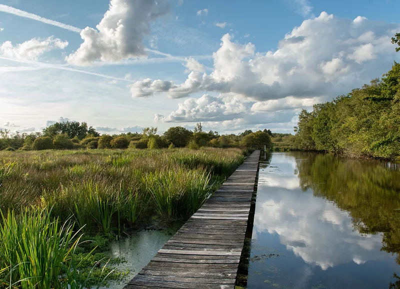 Randonnée Boucle du Marais du Grand-Hazé, Briouze · Briouze