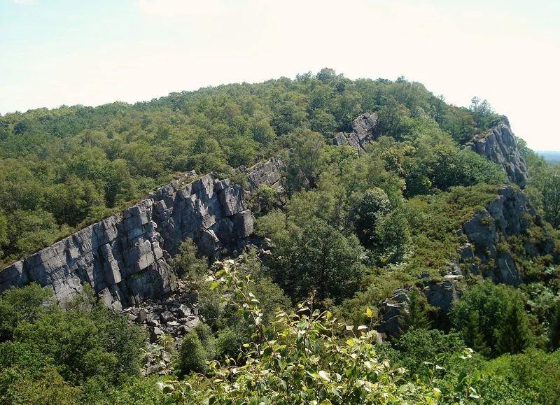 Randonnée La Fosse Arthour : entre Terres et Marais · Rouellé