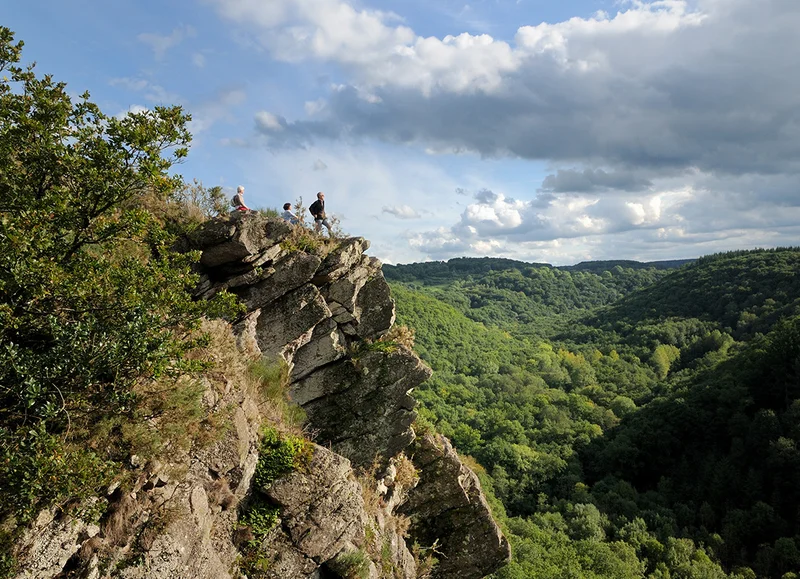 Randonnée Parcours botanique à la Roche d'Oëtre en Suisse Normande · Bréel