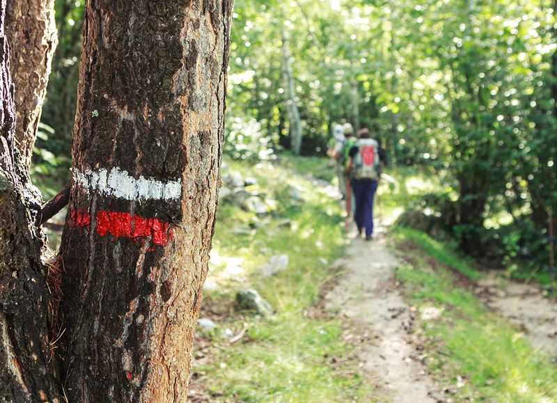 Randonnée Berjou de haut en bas - Randonnée à pied en Suisse Normande · Berjou