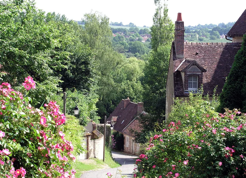 Randonnée Le Bois de Condeau - Randonnée à pied dans le Perche · Sablons sur Huisne