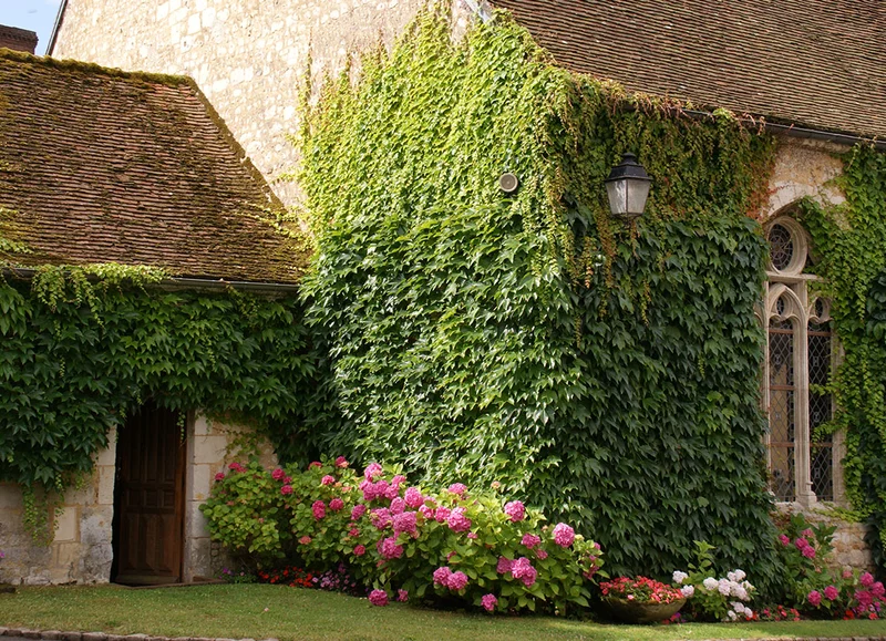 Randonnée Le Gîte les Bruyères, la Chapelle Montligeon - Randonnée à pied dans le Perche · La Chapelle-Montligeon