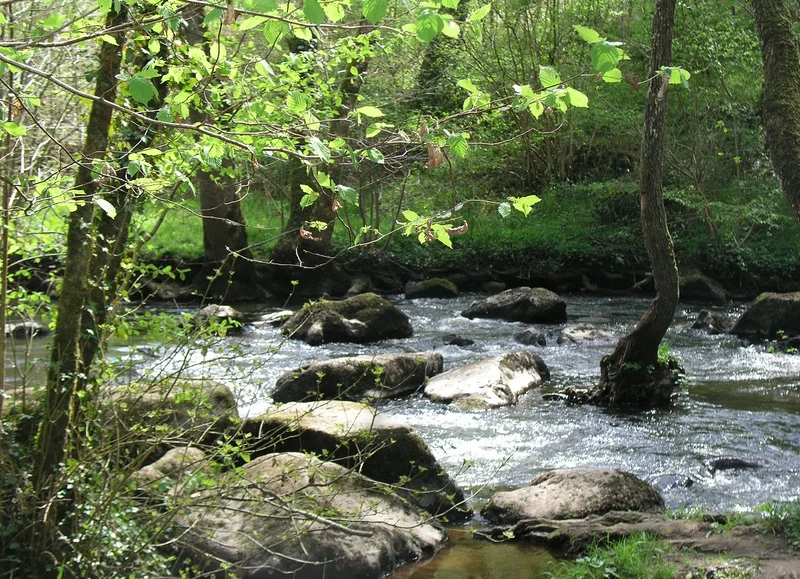 Randonnée Le Chant des Cailloux - Randonnée à pied en Suisse Normande · Notre-Dame-du-Rocher