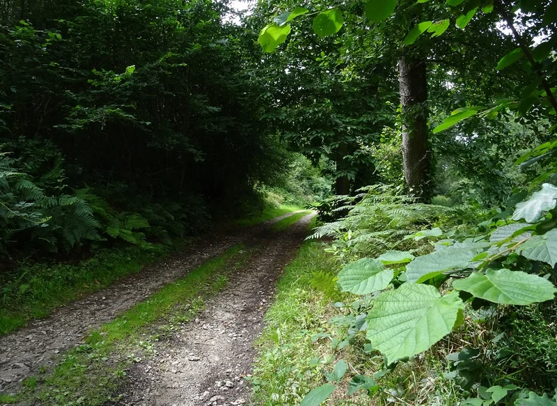 Randonnée Les Monts - Randonnée à pied · Sentilly
