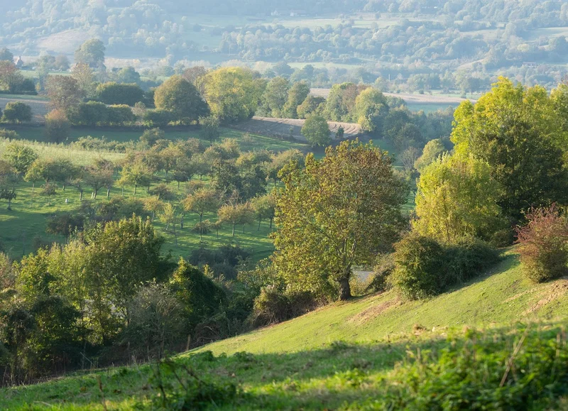 Randonnée Vimer - Randonnée à pied dans le Pays d'Auge · Vimoutiers