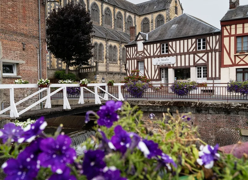 Randonnée Les chemins buissonniers - Randonnée à pied dans le Pays d'Auge · Vimoutiers
