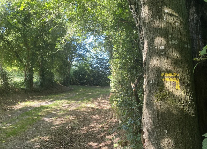 Randonnée Des sources de la vie - Randonnée à pied en Pays d'Auge · Ménil-Hubert-en-Exmes