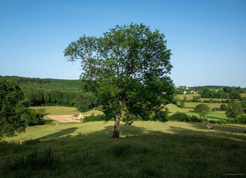 Randonnée La Corbonasière - Randonnée à pied dans le Perche Ornais · Cour-Maugis sur Huisne