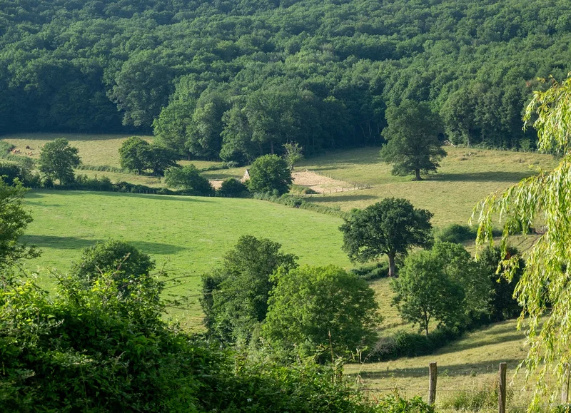 Randonnée La Mariette - Randonnée à pied dans le Perche · Longny les Villages