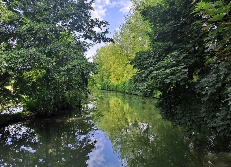 Randonnée Les Masselins - Randonnée à pied en Pays d'Ouche · Chandai