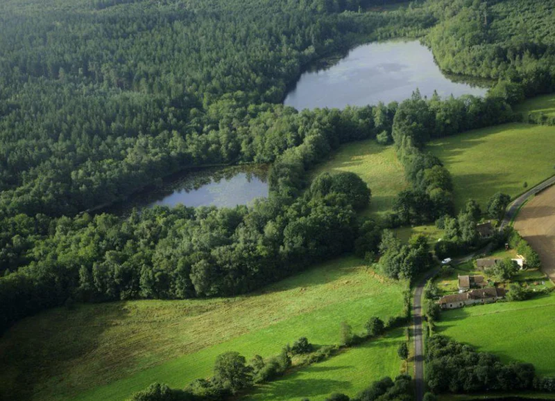 Randonnée Parcours de découverte de la Réserve de Bresolettes · Tourouvre au Perche