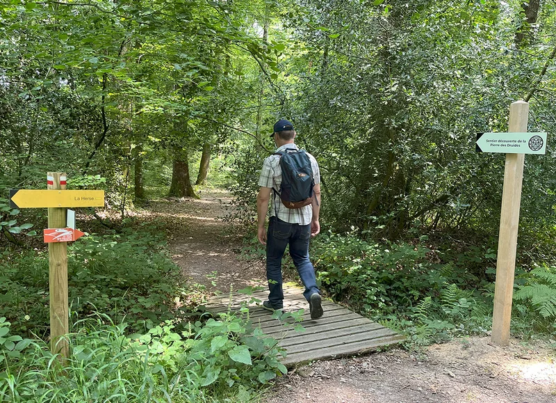 Randonnée Sentier de découverte de la pierre des Druides - Le Perche · Saint-Martin-du-Vieux-Bellême
