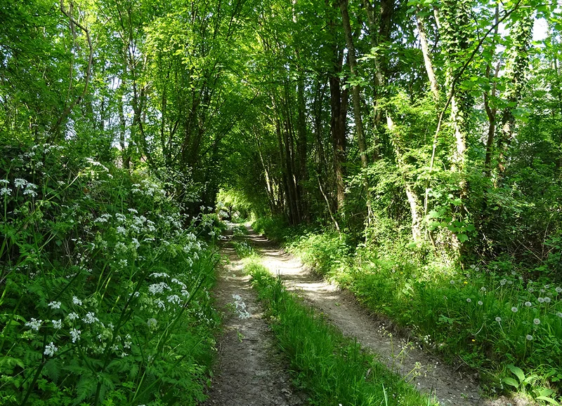 Randonnée Les Jauneaux, Pays Mêlois - randonnée à pied · Coulonges-sur-Sarthe
