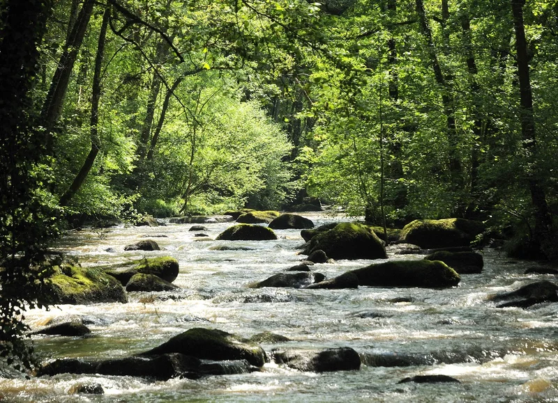 Randonnée Sentier des Gorges de la Roche d'Oëtre · Saint-Philbert-sur-Orne