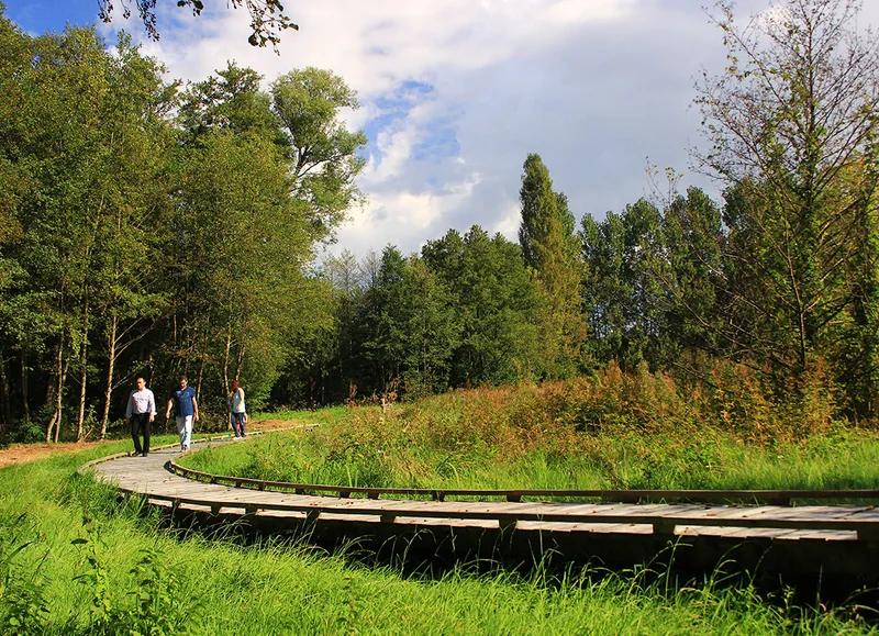 Randonnée Sentier des Vallées et marais de Bretoncelles · Bretoncelles