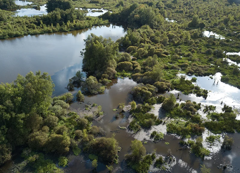 Randonnée Sentier du Breuil au Marais du Grand-Hazé · Bellou-en-Houlme
