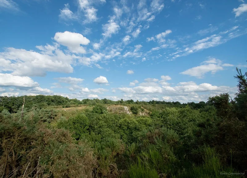 Randonnée Sentier du Vaudobin · Guêprei
