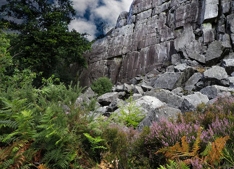 Randonnée Sentier de la Fosse Arthour · Saint-Georges-de-Rouelley