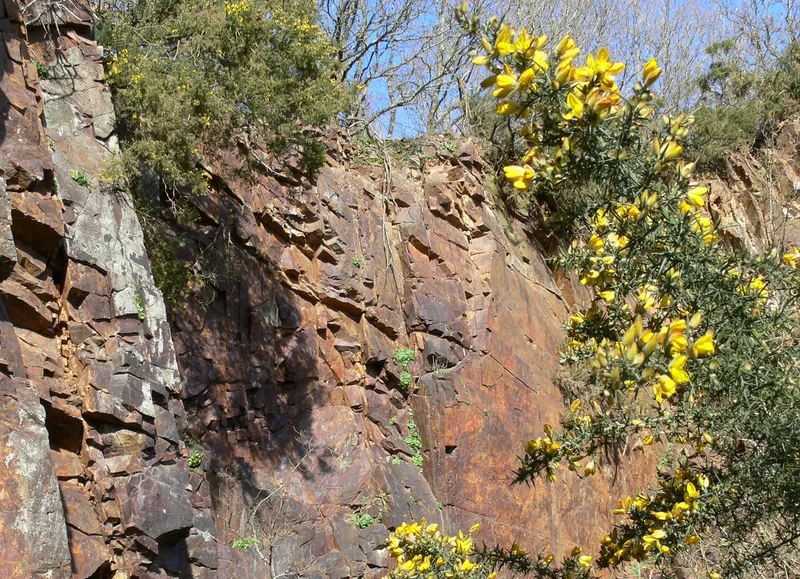 Randonnée Sentier Les Méandres de l'Orne : La carrière · La Courbe