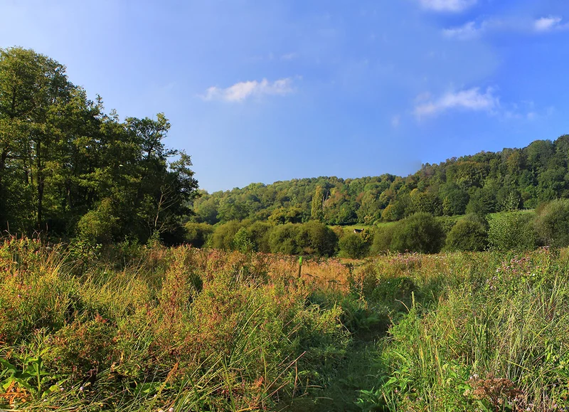 Randonnée Sentier Les Prairies de Campigny · Canapville