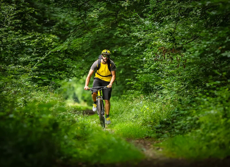VTT A VTT Au bord de la Visance en Pays de Flers · La Chapelle-au-Moine