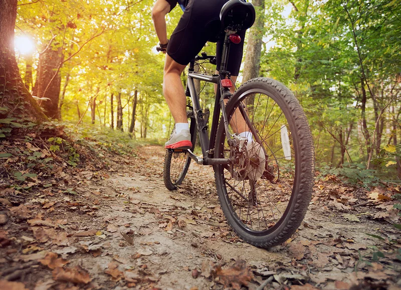 VTT A VTT Les vieux arbres dans le Perche · La Chapelle-Montligeon