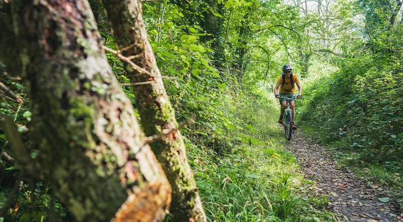 VTT 28 Les Méandres de l'Orne - Suisse Normande VTT · Putanges-Pont-Écrepin