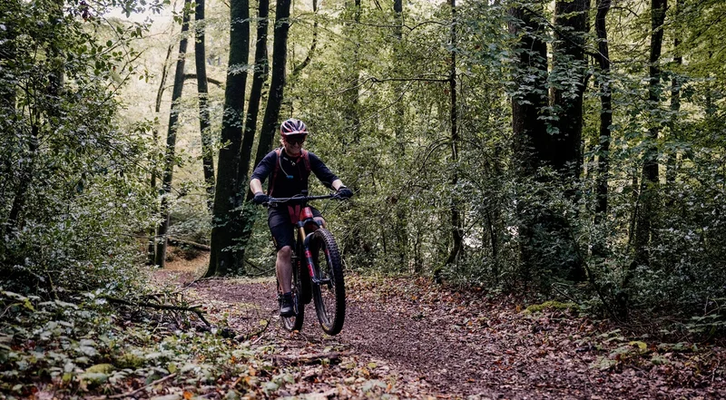 VTT 23 A l'Ouest de Bonvouloir - VTT · Juvigny-sous-Andaine