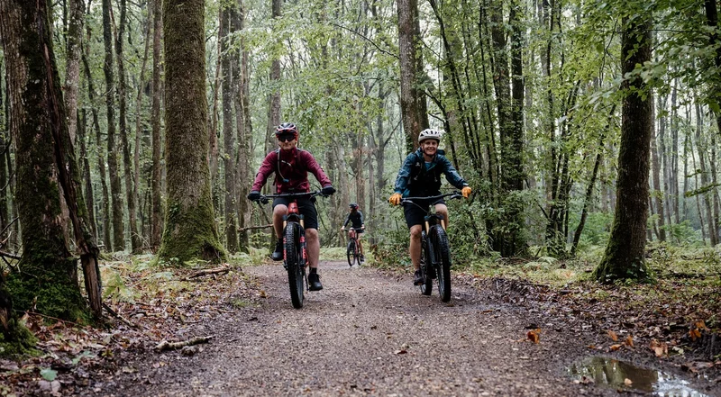 VTT 24 L'Etoile d'Andaine - VTT · Bagnoles-de-l'Orne