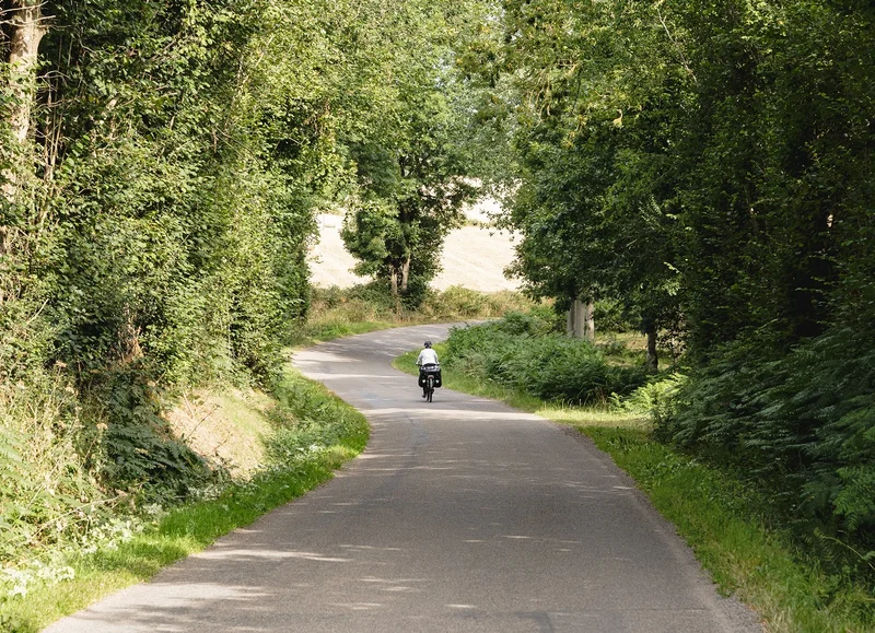 Vélo de route Les contreforts de la forêt d'Ecouves à vélo · Alençon