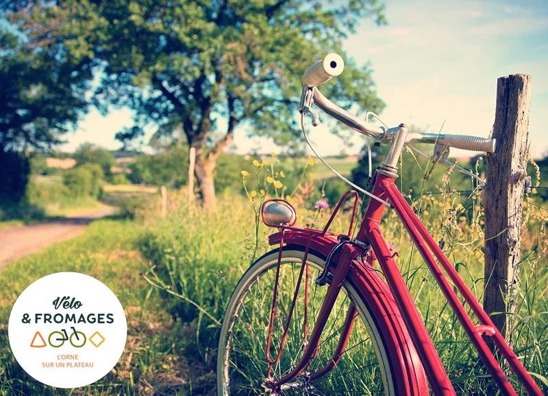Vélo de route Vélo et Fromages par la Véloscénie · Saint Germain-De-Loisé