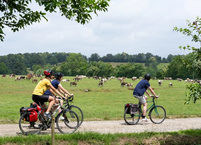 Vélo de route La Véloplanchette autour de la Vélo Francette® · Domfront