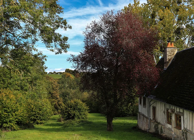 Vélo de route Au Pays du Camembert à vélo · Vimoutiers