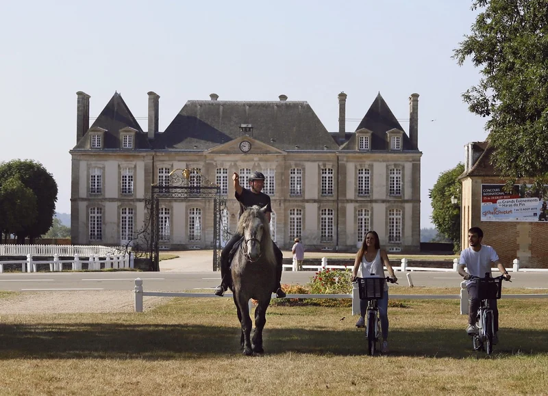 Vélo de route D'Argentan au Haras du Pin à vélo · Argentan
