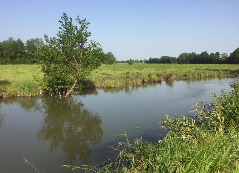 Vélo de route Boucle des bords de l'Orne à vélo · Argentan