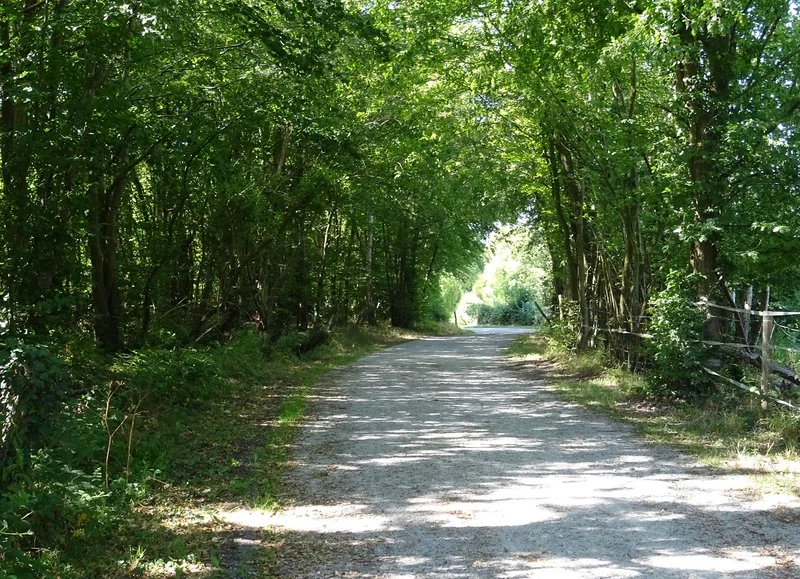 Vélo de route Voie verte de la Risle : de l'Aigle à Saint-Sulpice-sur-Risle · L'Aigle