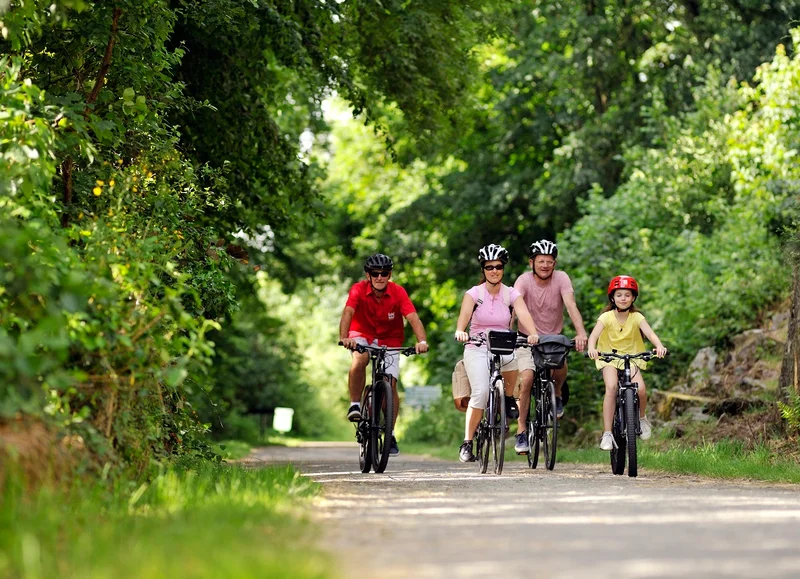 Vélo de route La Torchamp des Possibles à vélo · Domfront
