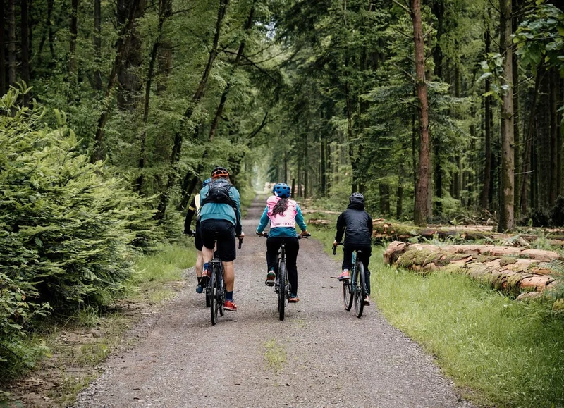Vélo de route 36 Les Monts d'Andaine - Parcours gravel · Bagnoles-de-l'Orne