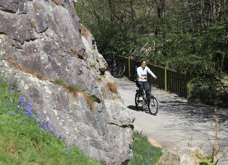 Vélo de route Voie verte : Flers - Domfront en Poiraie · La Selle-la-Forge